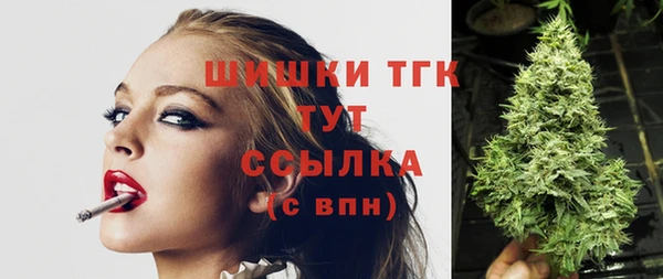 дживик Аркадак