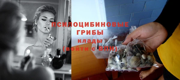 дживик Аркадак